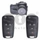 OEM Set for GM Buttons:3+1 / Transponder: HITAG2/ ID46 / Blade Signature: HU100 / Manufacture: WITTE / Set Part No: 20972880 / KEYLESS GO