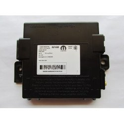 MODULE 202 – Fiat BSI Continental type 2 MODULE 202 – Fiat BSI Continental type 2